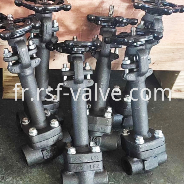 Api602 Bonnet Extended Gate Valve